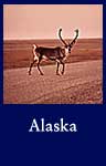 Alaska (ARC ID 550386)