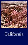California (ARC ID 543401)