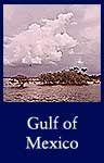 Gulf of Mexico (ARC ID 544570)