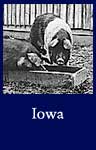 Iowa (ARC ID 522459)