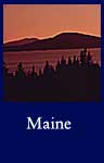 Maine (ARC ID 550646)
