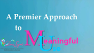 A Premier Approach to Meaningful Use