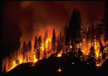 Image of wildfire. Click for larger image.