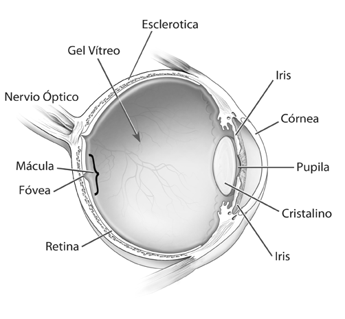 Eye diagram.