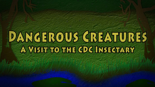 Dangerous Creatures – A Visit To The CDC Insectary
