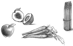 Drawing of fruits and vegetables with fiber. An apple, a peach that is cut in half, a bunch of carrots, and a bunch of asparagus are shown.