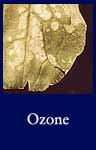 Ozone (ARC ID 542686)