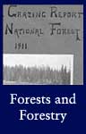 Forest and Forestry