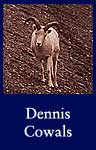 Dennis Cowals (ARC ID 550445)
