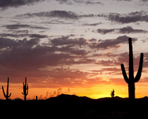 HSI targets bandit crews that exploit the Arizona border