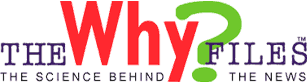 The Why Files logo