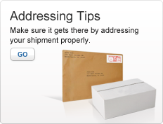 Addressing Tips. Make sure it gets there by addressing your shipment properly. Go. Image of mailing envelope and shipping box.