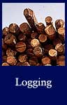 Logging (ARC ID 542596)