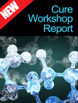 2012 Cure Workshop Report