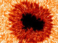 High-resolution image of a sunspot taken at the Sacramento Peak Observatory, New Mexico.