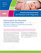 Promoting Good Prenatal Health: Air Pollution and Pregnancy (January 2010)