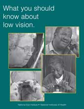 image of What You Should Know About Low Vision brochure