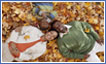 Kids laying on leaves