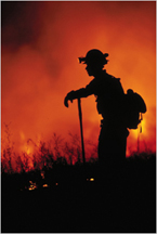 Silhouette of firefighter