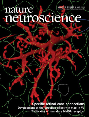 Li W, DeVries SH (2006) Bipolar cell pathways for color and luminance vision in a dichromatic mammalian retina. Nature Neuroscience 9:669-675.