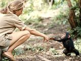 Photo of Jane Goodall touching hands with a chimp