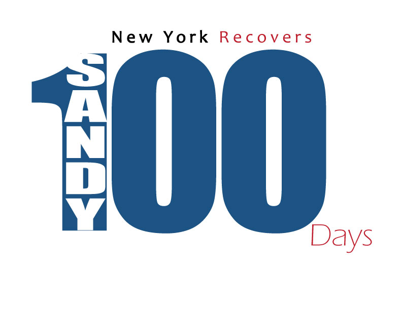 Visual logo of 100 Days After Sandy in NY