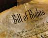 Beginning Level Bill of Rights and Other Amendments Lesson Plan