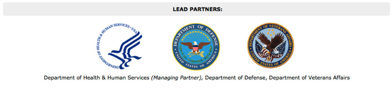 Lead Partners