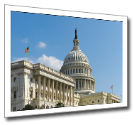 U.S. Capitol (angled graphic)