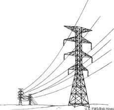 Illustration of power lines