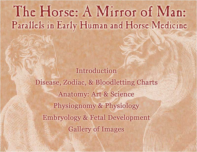 The Horse: A Mirror of Man: Parallels in Early Human and Horse Medicine