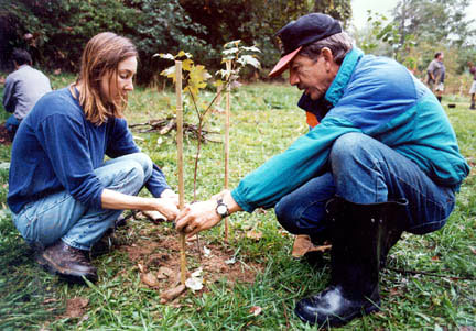 People working together