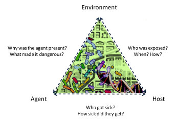 triangle with dashed lines and arrows on all points- text on top point: Environment - text on left line: Why was the agent present? What made it dangerous? -text on left point: Agent-  text on right dashed line: Who was exposed? When? How? - text on right point: Host -text on bottom dashed line: Who got sick? How sick did they get?