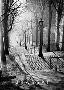 Les Escaliers de Montmartre, Paris Poster