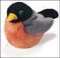 American Robin Plush 