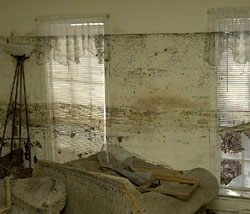 The pair of lace valances salvaged from the Williams' home in New Orleans are a powerful addition to the museum's collection. Photo courtesy of the National Museum of American History.