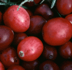 Cranberry