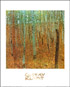 Beech Forest Poster 