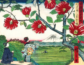 Hiroshige II Japanese Garden Note Card Set