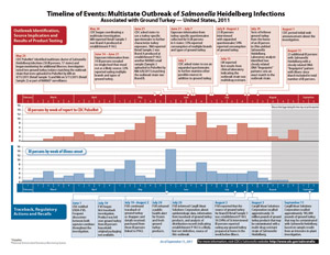 Timeline of Events