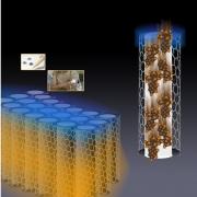 Image of carbon nanotubes