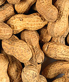 Nearly One-Third of Kids With Food Allergies May Be Bullied