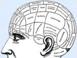 Illustration from Phrenology book. The self-instructor in phrenology and physiology: with over one hundred new illustrations, including a chart for the use of pratical phrenologists / by O.S. and L.N.