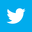 Twitter icon image link