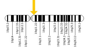 The RET gene is located on the long (q) arm of chromosome 10 at position 11.2.