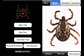 home screen for tick app and example of an eastern u.s. tick species