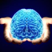 Hands holding a glowing brain 