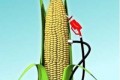 Corn Ethanol Pump