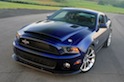 Muscle Cars