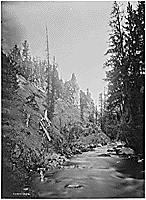 Thumbnail for: Tower Creek, Yellowstone, 1871